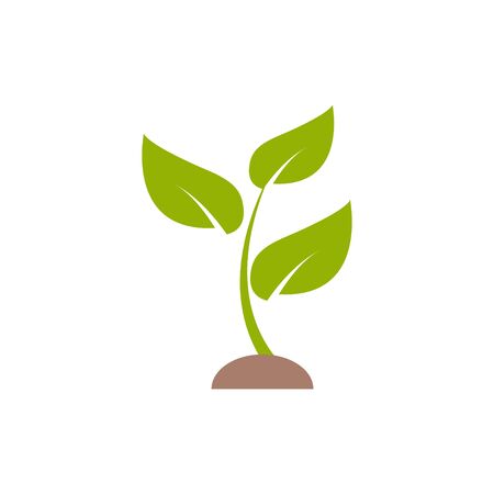 Top UK Brands Offering Sustainable Options