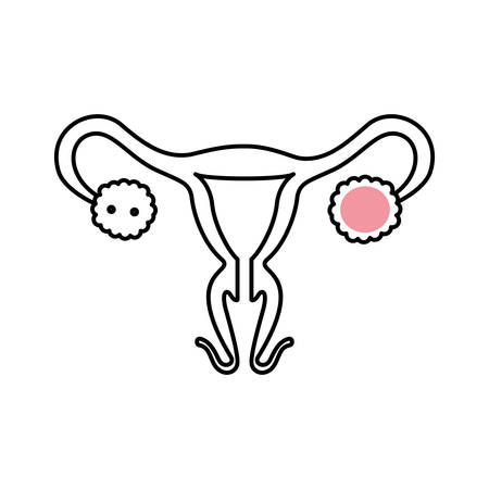 The Ultimate Guide to Stretch Marks and Cellulite Treatments in the UK: Tips, Products, and Professional Advice