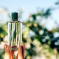 Top 21 British Body Lotions & Butters Brands for Silky Smooth Skin