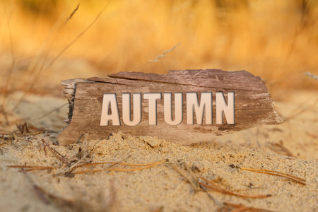 A Guide to Choosing Autumn Fragrances in the UK: Embrace Cosy British Vibes