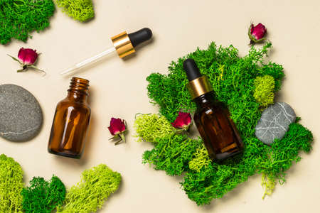 Sustainable Beauty in Britain: The Environmental Impact of Choosing Organic Skincare