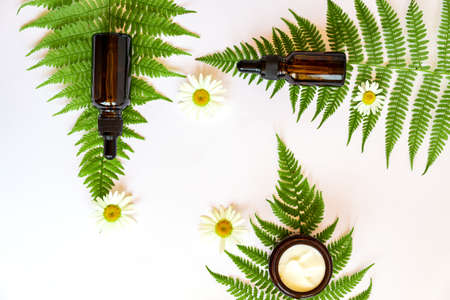 Natural and Organic Body Lotions & Butters Popular in Britain: Benefits and Brands