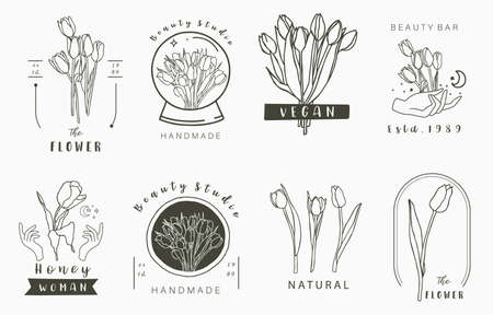Top UK Brands for Vegan and Cruelty-Free Body Scrubs