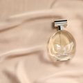 Decoding the Language of Scent: Understanding Fragrance Notes and Descriptions in UK Perfume Culture