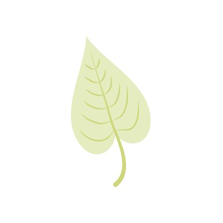 Clean, Green Formulations: Organic Ingredients & Local Sourcing