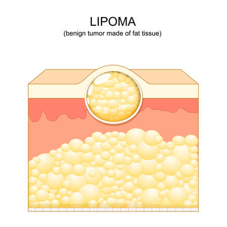 Preparing Your Skin: Pre-Exfoliation Care Essentials
