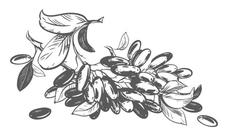 Moisturising and Long-Lasting Formulas